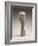Head of a Woman, C.1910-1911-Amedeo Modigliani-Framed Giclee Print