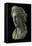 Head of a Woman in the Guise of a Goddess, 1St Century (Copper Alloy and Silver)-Roman-Framed Premier Image Canvas