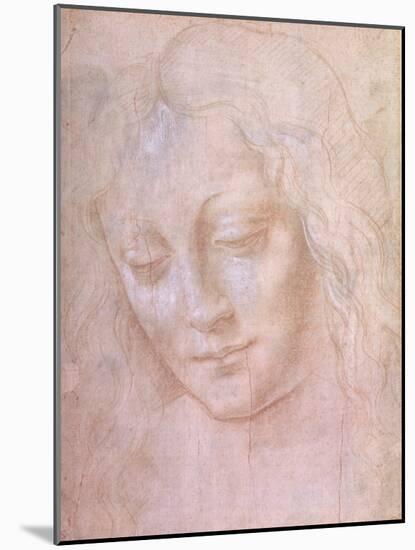 Head of a Woman-Leonardo da Vinci-Mounted Giclee Print