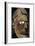 Head of a wooden figure from New Ireland, Melanesian. Artist: Unknown-Unknown-Framed Giclee Print