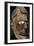 Head of a wooden figure from New Ireland, Melanesian. Artist: Unknown-Unknown-Framed Giclee Print