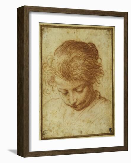 Head of a Young Girl Looking Downwards-Annibale Carracci-Framed Giclee Print