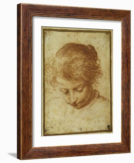 Head of a Young Girl Looking Downwards-Annibale Carracci-Framed Giclee Print