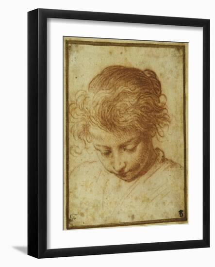 Head of a Young Girl Looking Downwards-Annibale Carracci-Framed Giclee Print