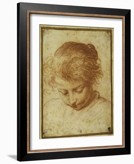 Head of a Young Girl Looking Downwards-Annibale Carracci-Framed Giclee Print