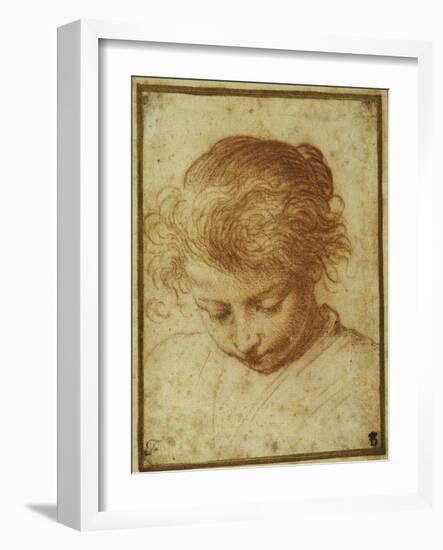 Head of a Young Girl Looking Downwards-Annibale Carracci-Framed Giclee Print