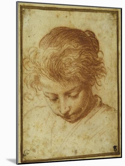Head of a Young Girl Looking Downwards-Annibale Carracci-Mounted Giclee Print