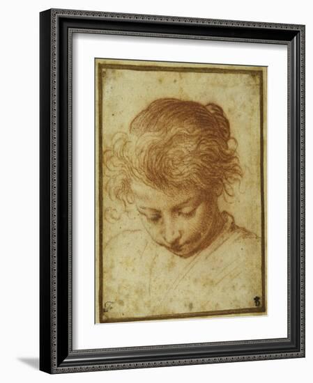 Head of a Young Girl Looking Downwards-Annibale Carracci-Framed Giclee Print