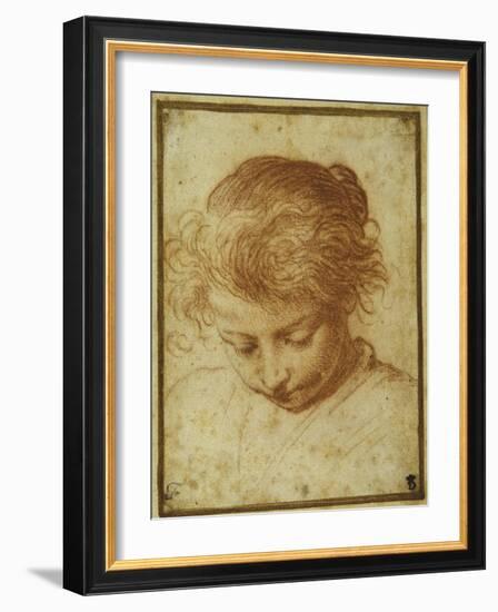 Head of a Young Girl Looking Downwards-Annibale Carracci-Framed Giclee Print