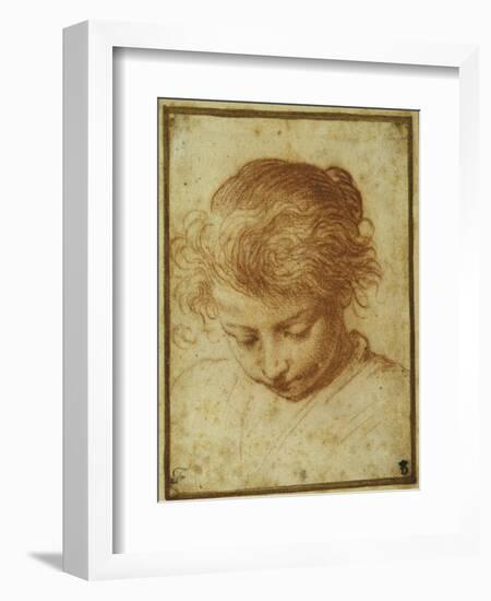 Head of a Young Girl Looking Downwards-Annibale Carracci-Framed Giclee Print