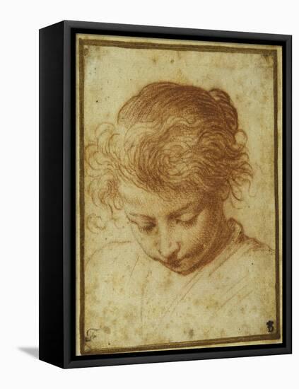 Head of a Young Girl Looking Downwards-Annibale Carracci-Framed Premier Image Canvas