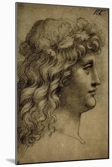 Head of a Young Man; Drawing by Leonardo Da Vinci. the Louvre, Paris-Leonardo Da Vinci-Mounted Giclee Print