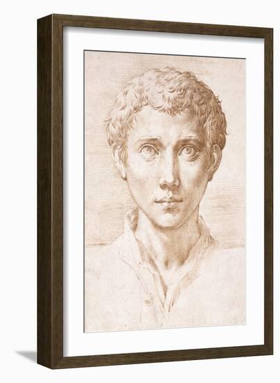 Head of a Young Man Looking Up-Parmigianino-Framed Giclee Print