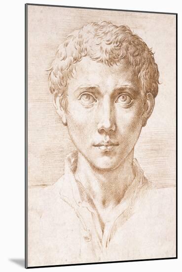Head of a Young Man Looking Up-Parmigianino-Mounted Giclee Print