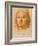 Head of a Young Man Wearing a Beret-Pietro Perugino-Framed Giclee Print