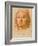 Head of a Young Man Wearing a Beret-Pietro Perugino-Framed Giclee Print