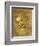 Head of a Young Woman La Scapigliata (the Lady of the Disheveled Hair)-Leonardo da Vinci-Framed Giclee Print