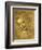 Head of a Young Woman La Scapigliata (the Lady of the Disheveled Hair)-Leonardo da Vinci-Framed Giclee Print