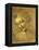 Head of a Young Woman La Scapigliata (the Lady of the Disheveled Hair)-Leonardo da Vinci-Framed Premier Image Canvas