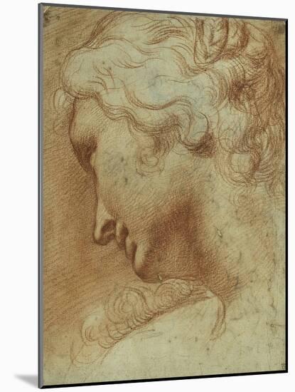 Head of a Young Woman Looking Down over Her Right Shoulder-Agostino Carracci-Mounted Giclee Print