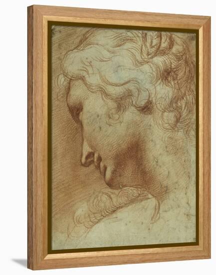 Head of a Young Woman Looking Down over Her Right Shoulder-Agostino Carracci-Framed Premier Image Canvas