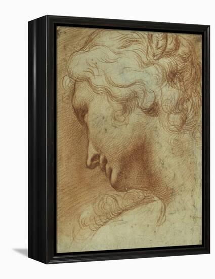 Head of a Young Woman Looking Down over Her Right Shoulder-Agostino Carracci-Framed Premier Image Canvas