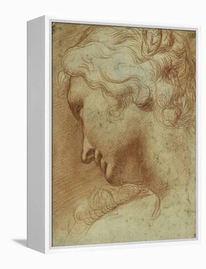 Head of a Young Woman Looking Down over Her Right Shoulder-Agostino Carracci-Framed Premier Image Canvas
