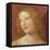 Head of a Young Woman-Bernardino Luini-Framed Premier Image Canvas