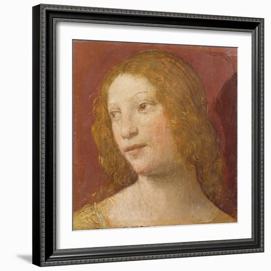 Head of a Young Woman-Bernardino Luini-Framed Giclee Print