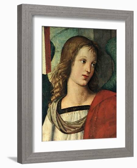 Head of an Angel, C. 1500-Raphael-Framed Giclee Print