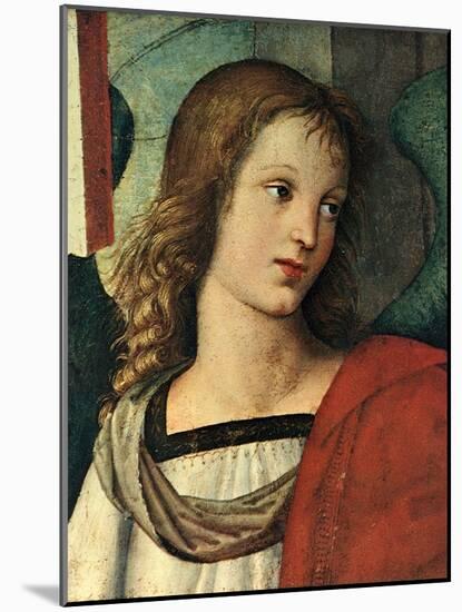 Head of an Angel, C. 1500-Raphael-Mounted Giclee Print