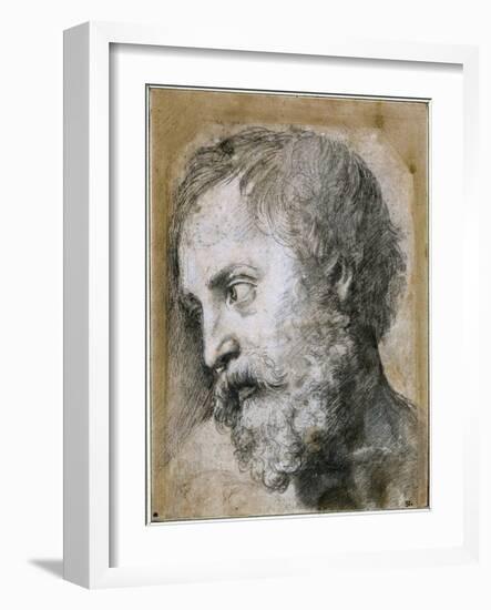 Head of an Apostle (Study for Transfiguratio), 1519-1520-Raphael-Framed Giclee Print