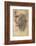 Head of an Apostle-Andrea del Sarto-Framed Art Print