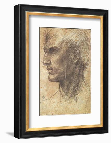 Head of an Apostle-Andrea del Sarto-Framed Art Print