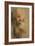 Head of an Old Bearded Man, 1584-1586-Federigo Barocci-Framed Giclee Print