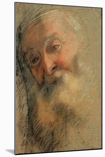 Head of an Old Bearded Man, 1584-1586-Federigo Barocci-Mounted Giclee Print