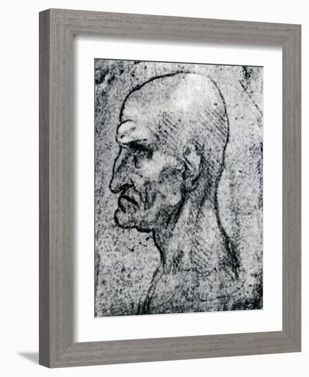 Head of an Old Man, 1913-Leonardo da Vinci-Framed Giclee Print