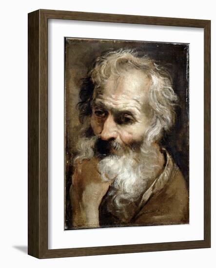 Head of an Old Man, C.1590-92-Annibale Carracci-Framed Giclee Print