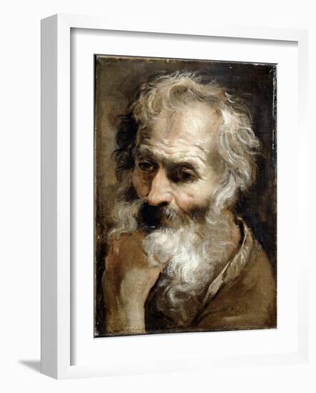 Head of an Old Man, C.1590-92-Annibale Carracci-Framed Giclee Print