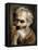 Head of an Old Man, C.1590-92-Annibale Carracci-Framed Premier Image Canvas