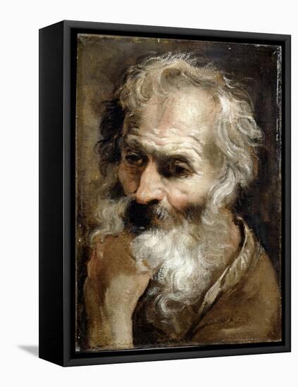 Head of an Old Man, C.1590-92-Annibale Carracci-Framed Premier Image Canvas