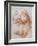 Head of an Old Man Looking Up-Giovanni Battista Tiepolo-Framed Giclee Print