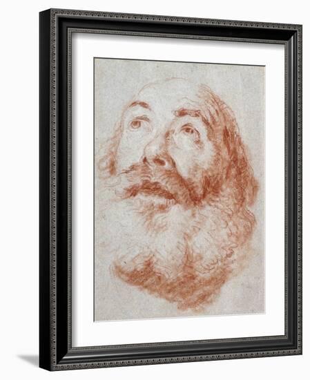 Head of an Old Man Looking Up-Giovanni Battista Tiepolo-Framed Giclee Print