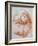 Head of an Old Man Looking Up-Giovanni Battista Tiepolo-Framed Giclee Print