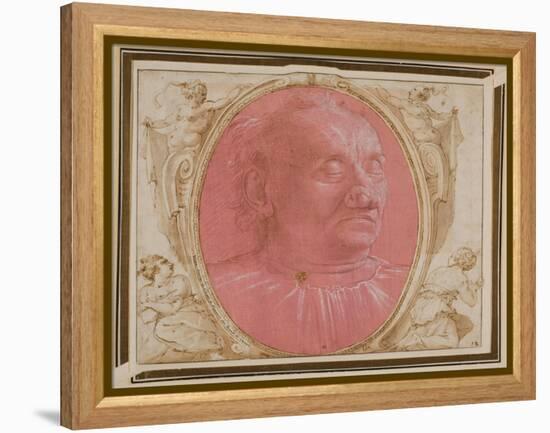 Head of an Old Man-Domenico Ghirlandaio-Framed Premier Image Canvas