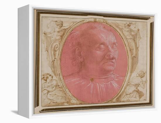 Head of an Old Man-Domenico Ghirlandaio-Framed Premier Image Canvas