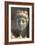 Head of Aphrodite-null-Framed Photographic Print