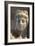 Head of Aphrodite-null-Framed Photographic Print