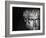 Head of Aristotle-Gjon Mili-Framed Photographic Print