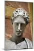 Head of Artemis, 2nd Century-Praxiteles Praxiteles-Mounted Photographic Print
